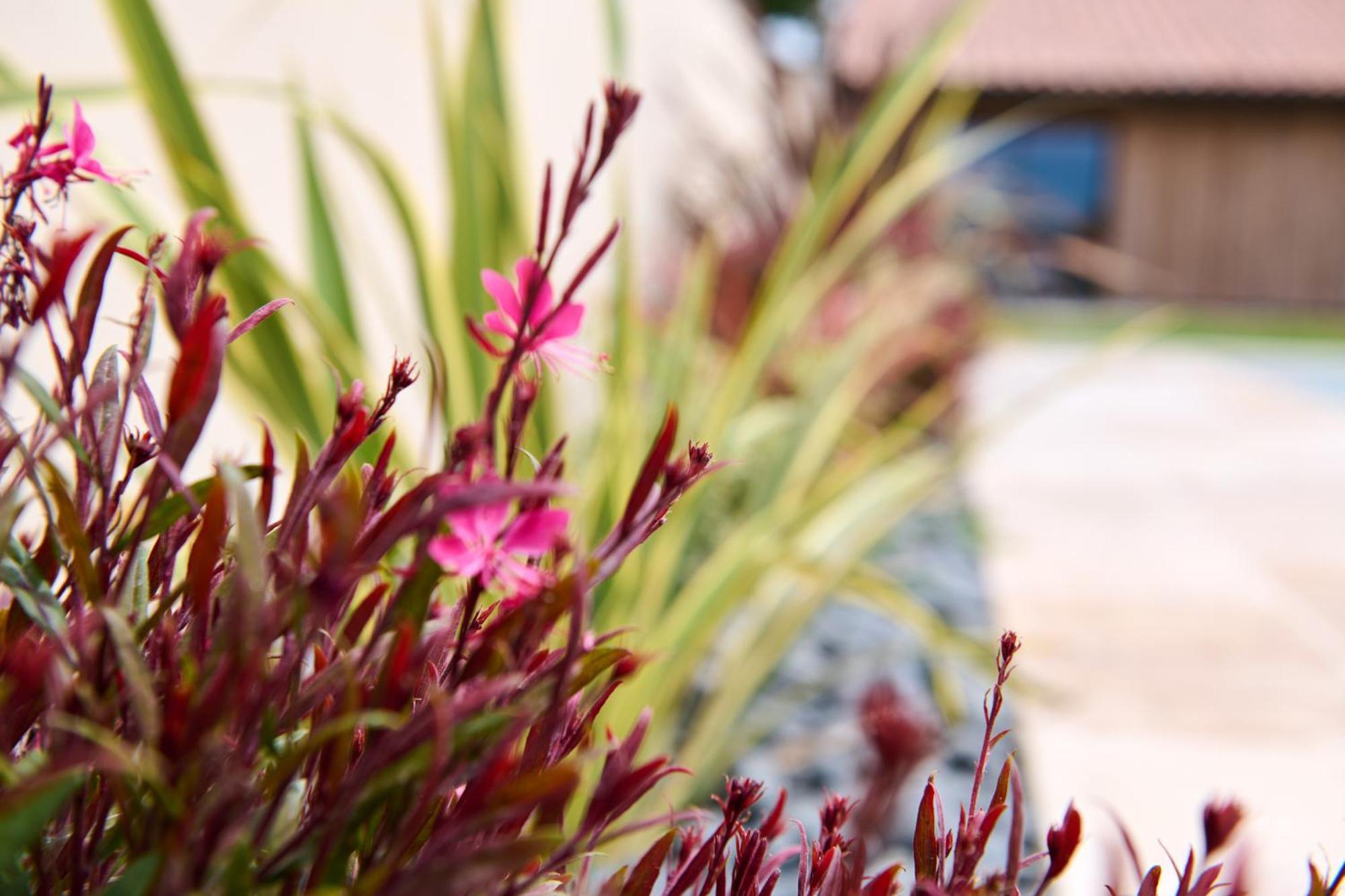Le Repaire Lagardere Bed and Breakfast Lussac  Buitenkant foto